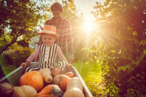 10 razones para comenzar una huerta en casa